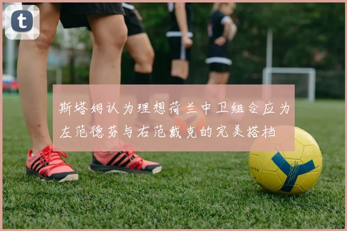 斯塔姆认为理想荷兰中卫组合应为左范德芬与右范戴克的完美搭档